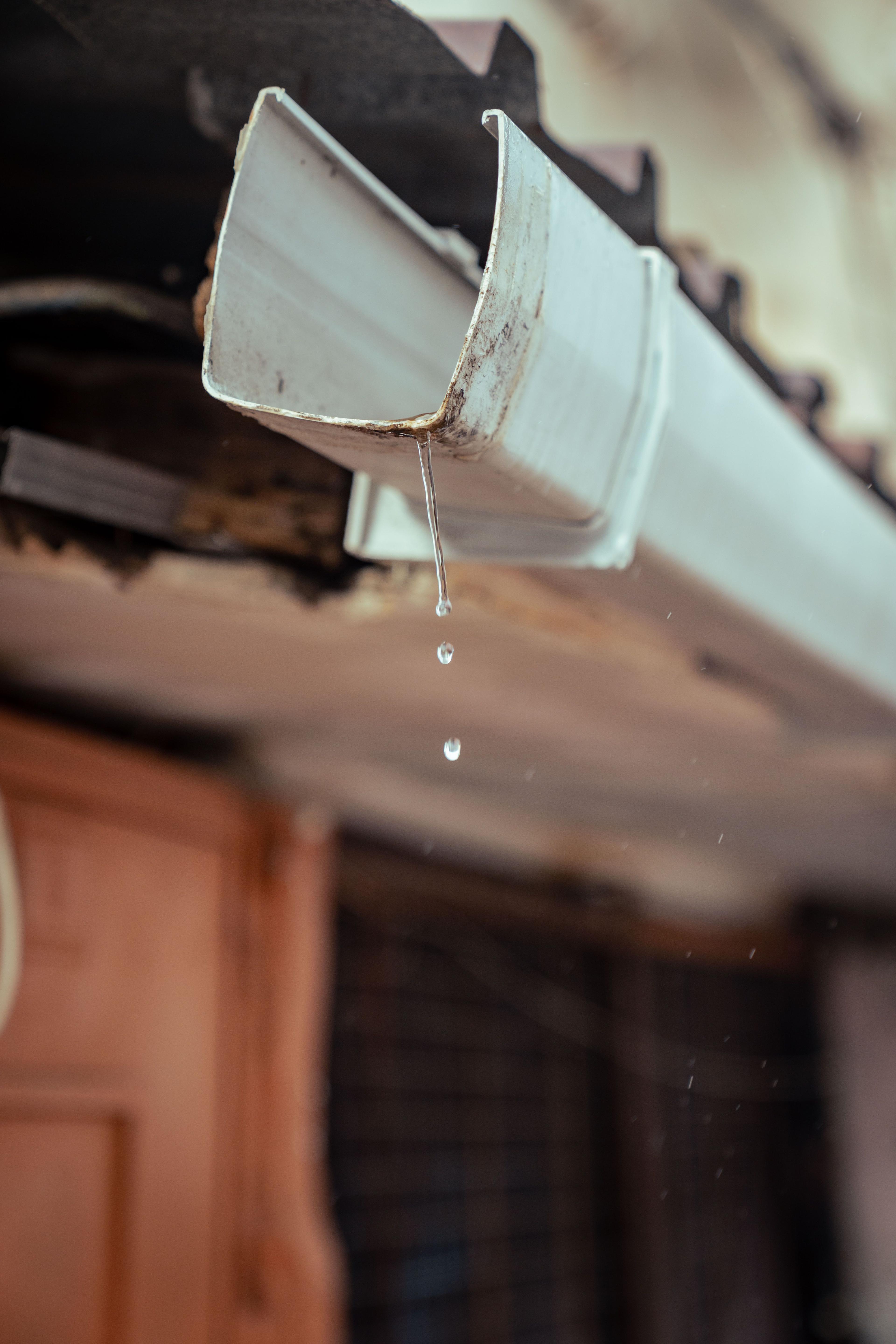 Rain gutter