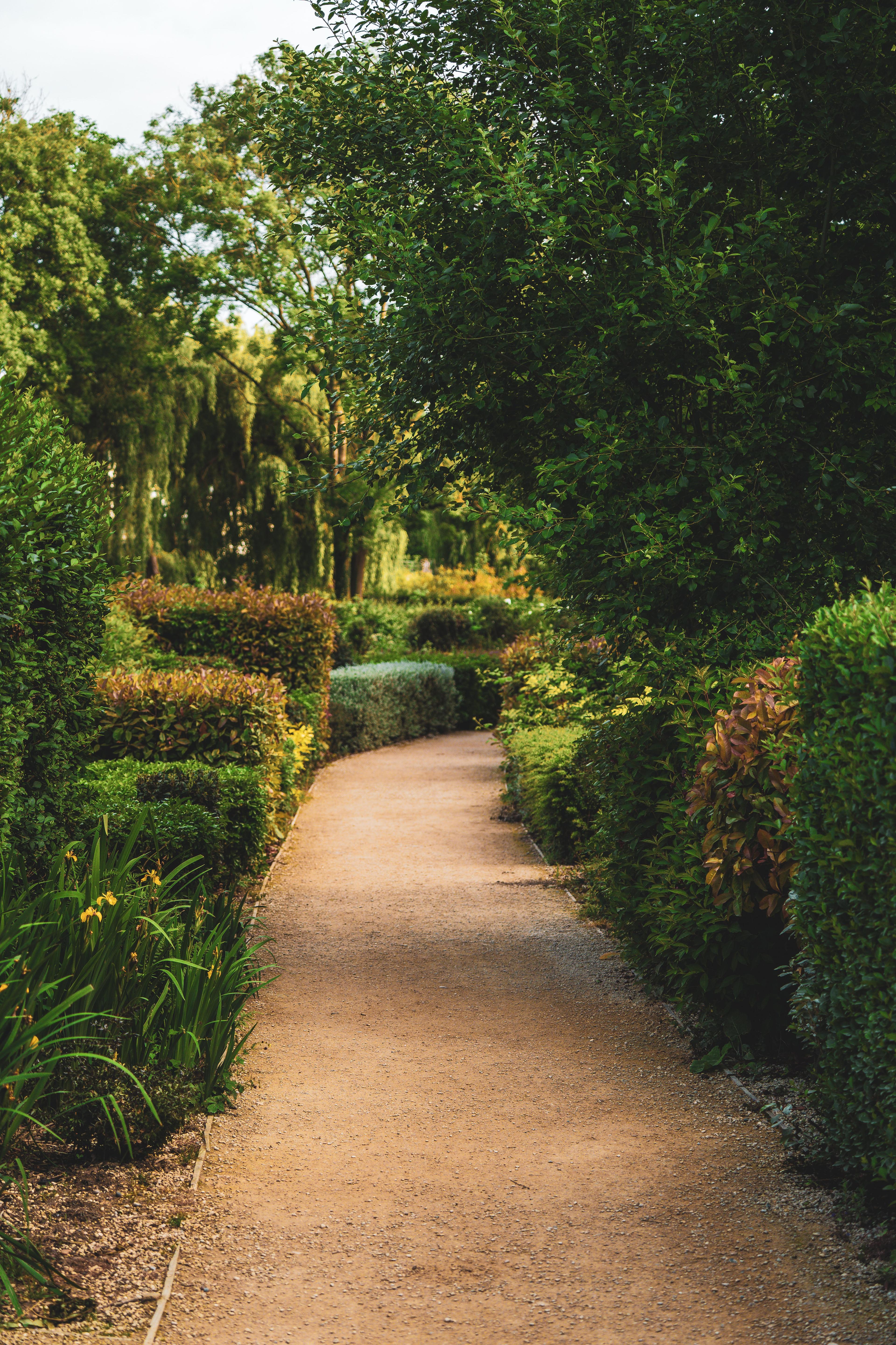 Garden pathway with lush greenery